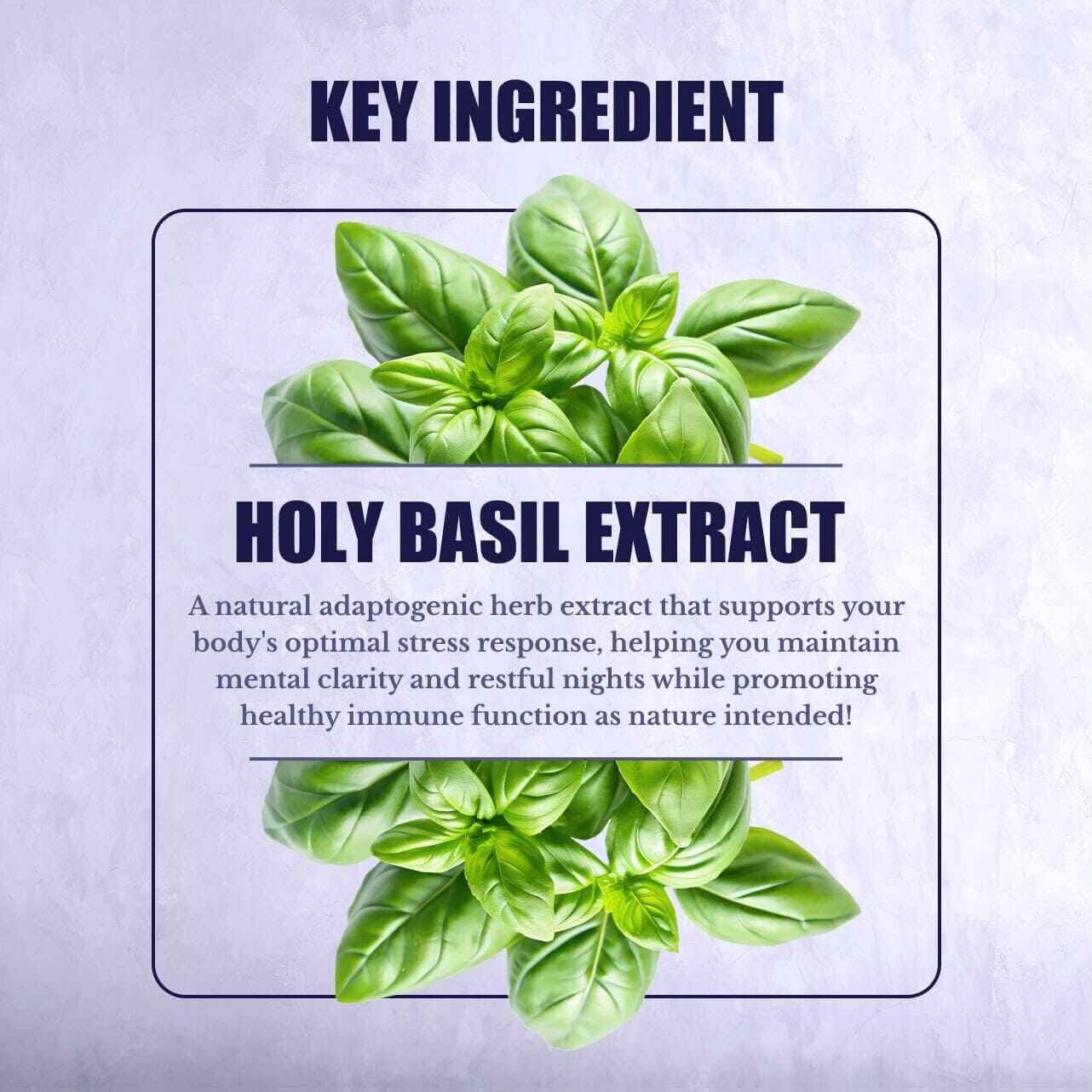 Holy Basil