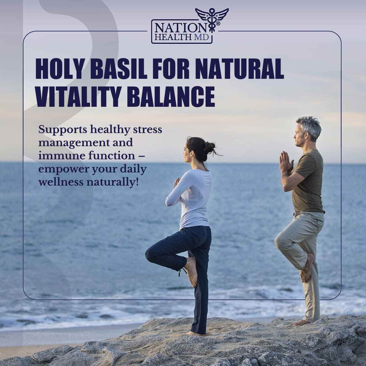 Holy Basil