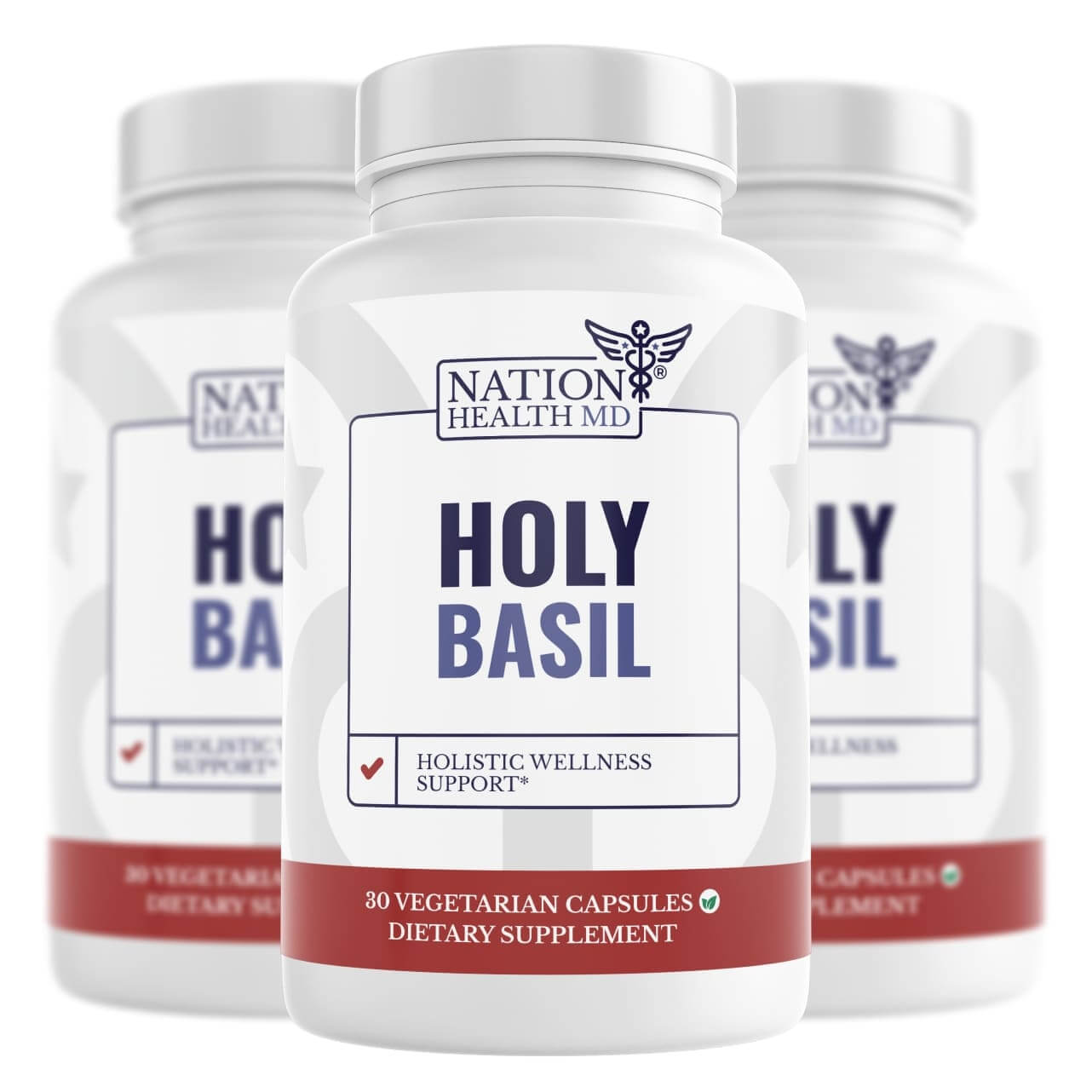 Holy Basil