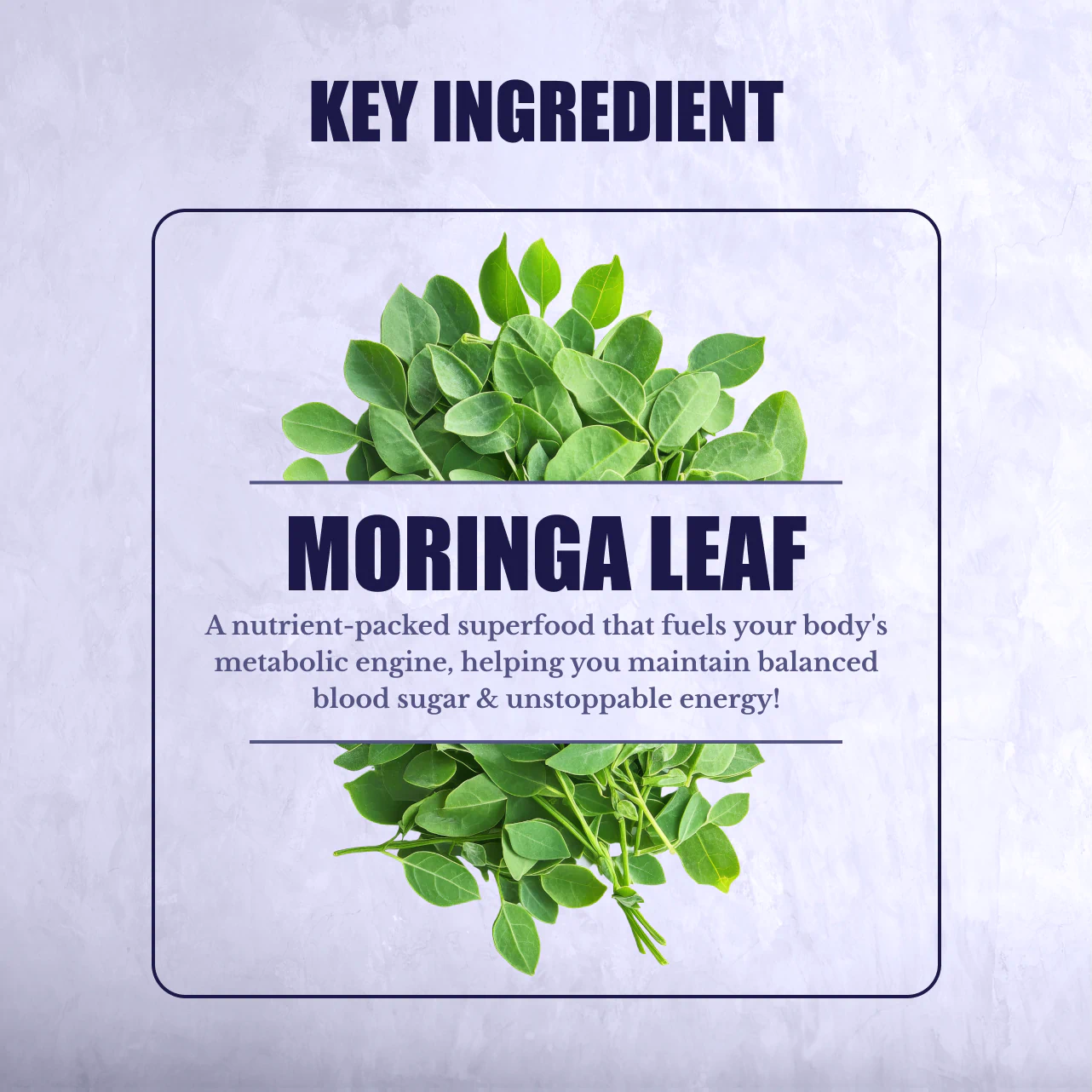 Moringa