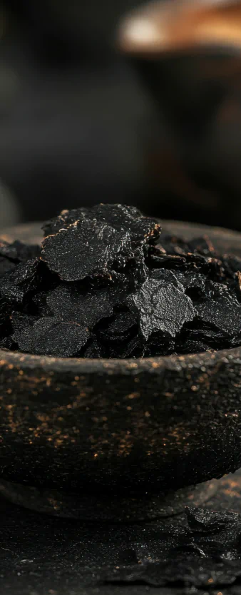 Shilajit