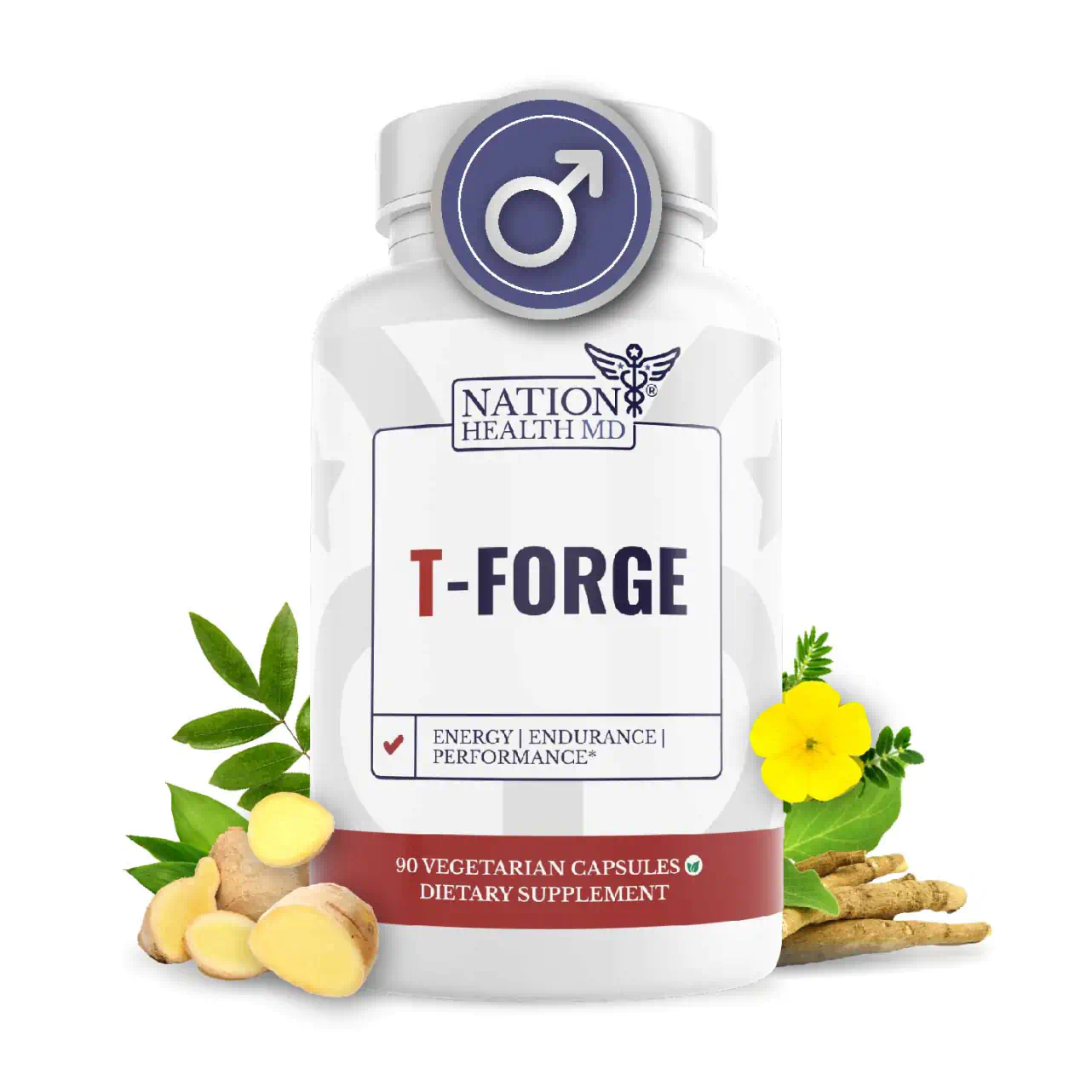 T-Forge